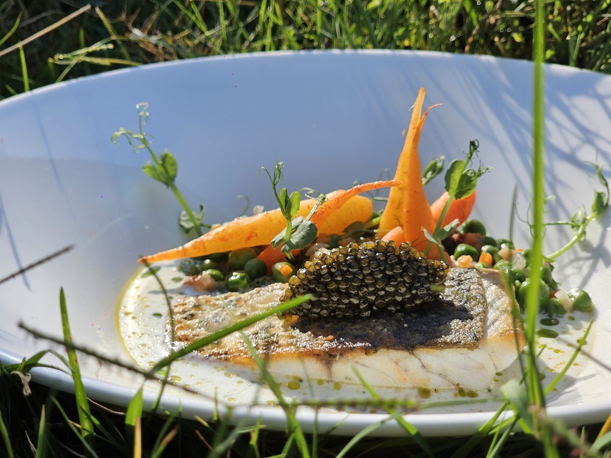 Fish dish with caviar and seasonal vegetables