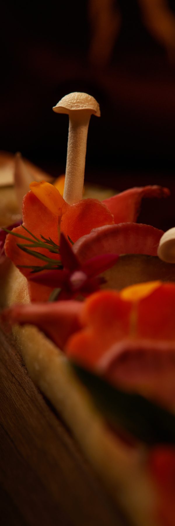 Edible flowers and a mushroom on an autumn dish